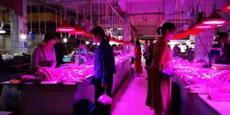 1632300612150381.png 1632300612150381.png