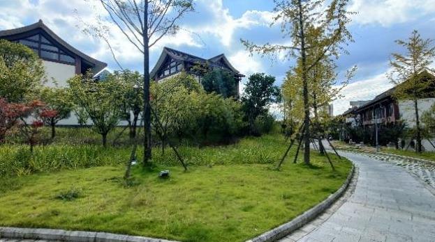 1661155221477065.jpg 1661155221477065.jpg