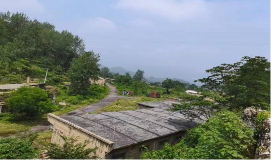 1693810448372284.png image.png