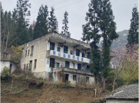 1698112787156456.png image.png