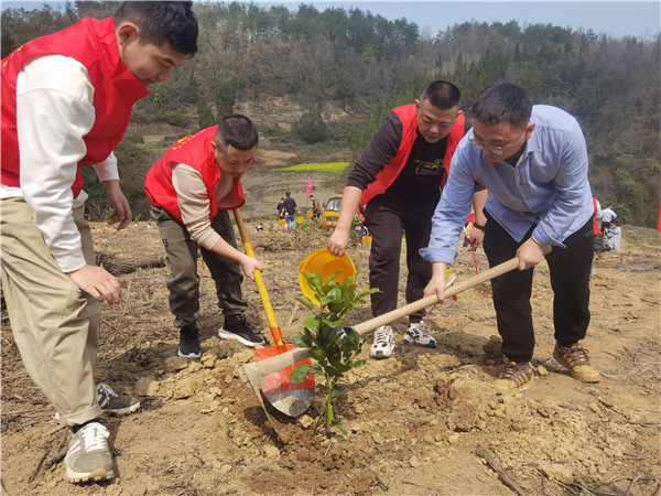 1710294587569311.jpg 6.jpg