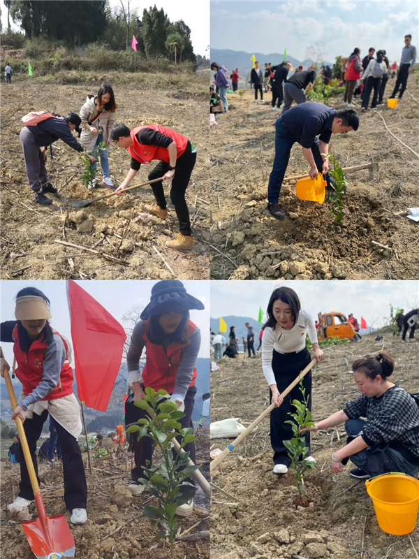 1710490540295205.png 圖片9.png