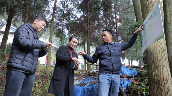 1732238442416506.png 圖片2_副本.png