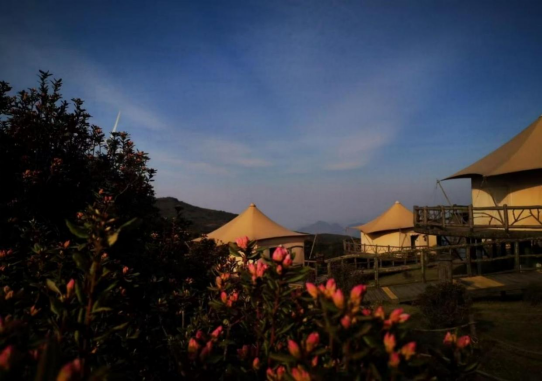 1744778308319550.png image.png