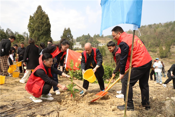 1750124305844340.png 圖片5.png