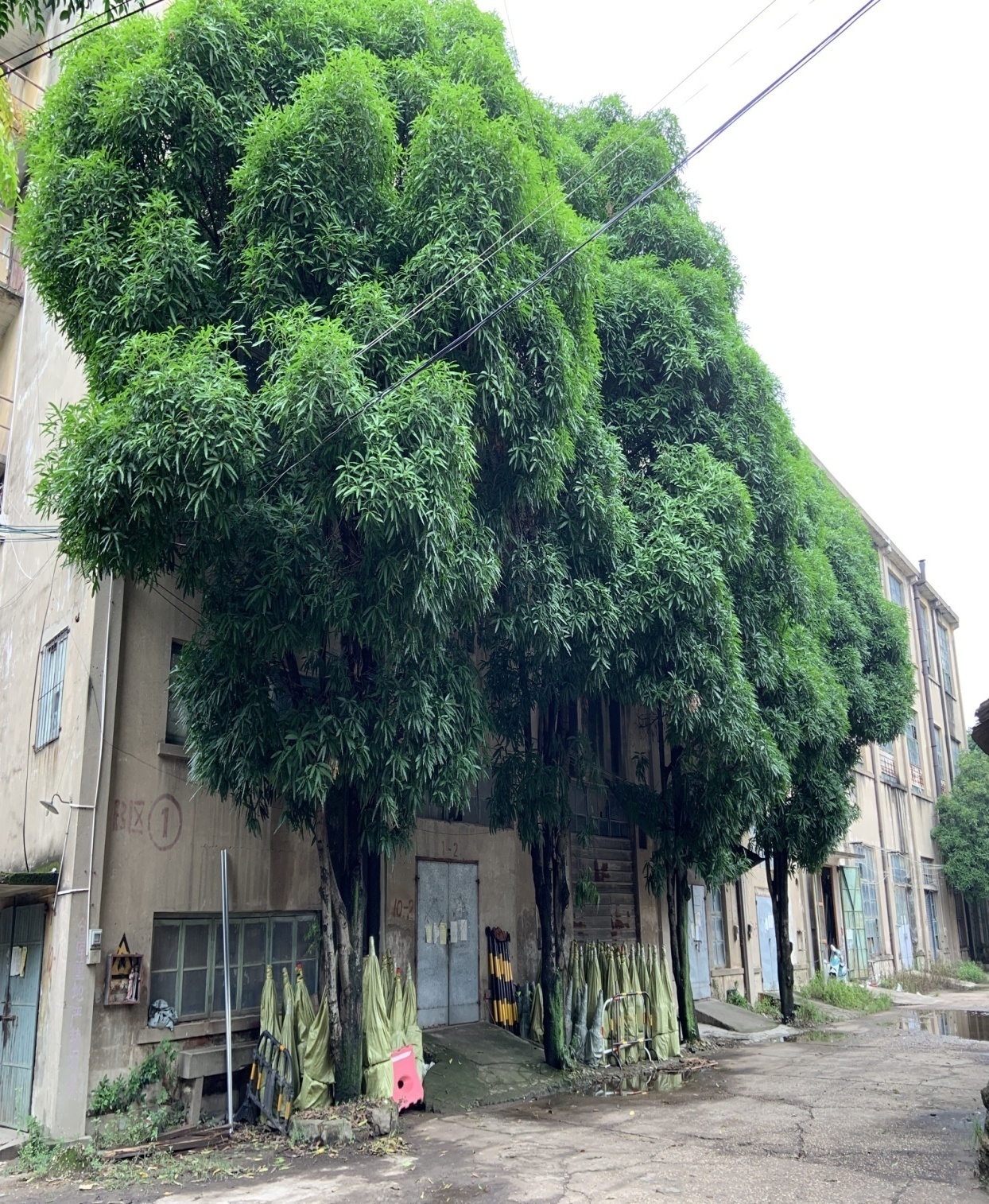 圖片關(guān)鍵詞 圖片關(guān)鍵詞