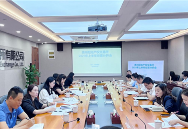 貴州陽光產(chǎn)權(quán)交易所召開2025年上半年經(jīng)營分析會(huì)